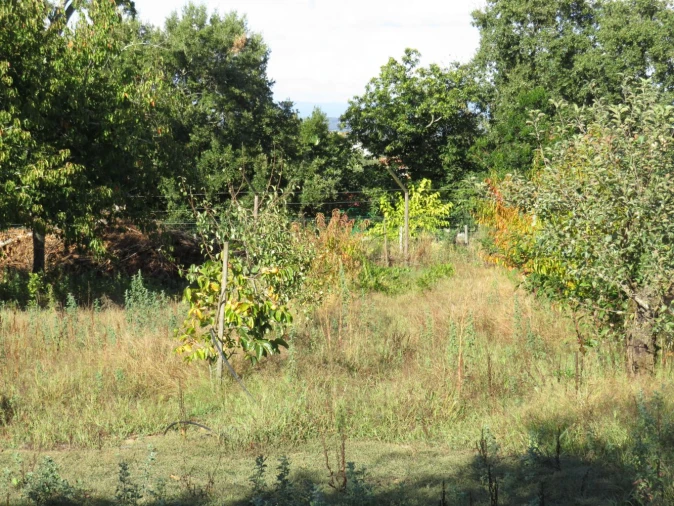 Quinta T0 para Venda em Beco Foto 29