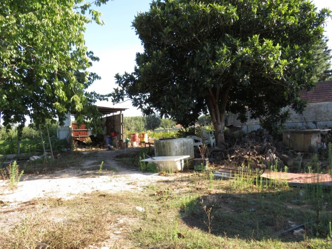 Quinta T0 para Venda em Beco Foto 32