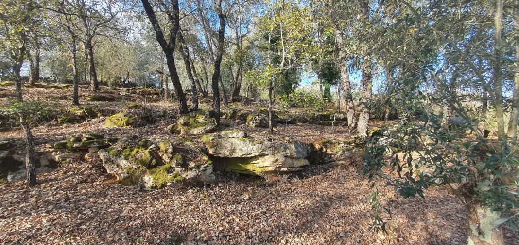 Moradia T2 para Venda em Areias e Pias Foto 31