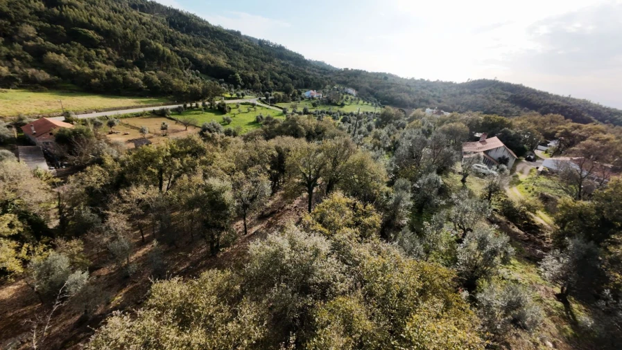 Moradia T2 para Venda em Areias e Pias Foto 4