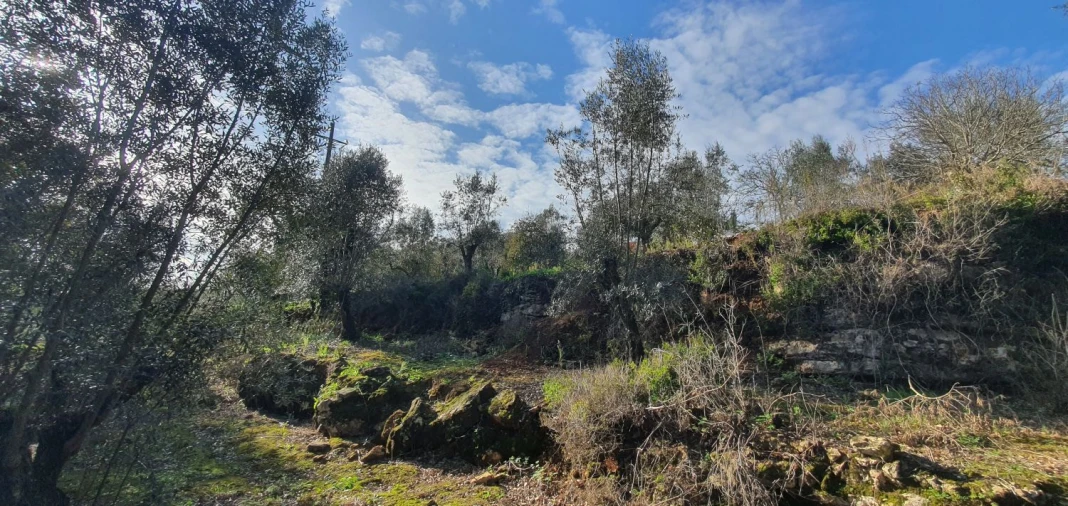 Moradia T2 para Venda em Areias e Pias Foto 30