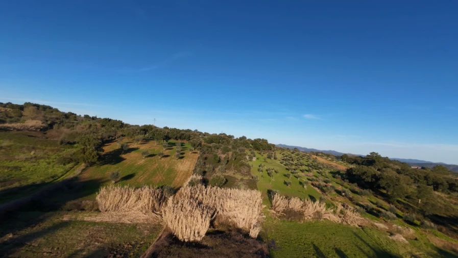 Moradia T5 para Venda em Olalhas Foto 13