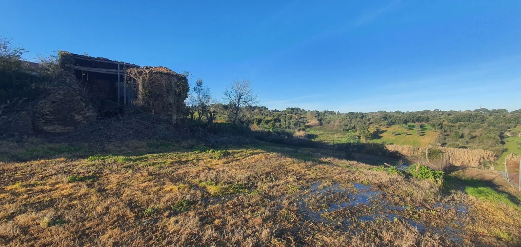 Moradia T5 para Venda em Olalhas Foto 36