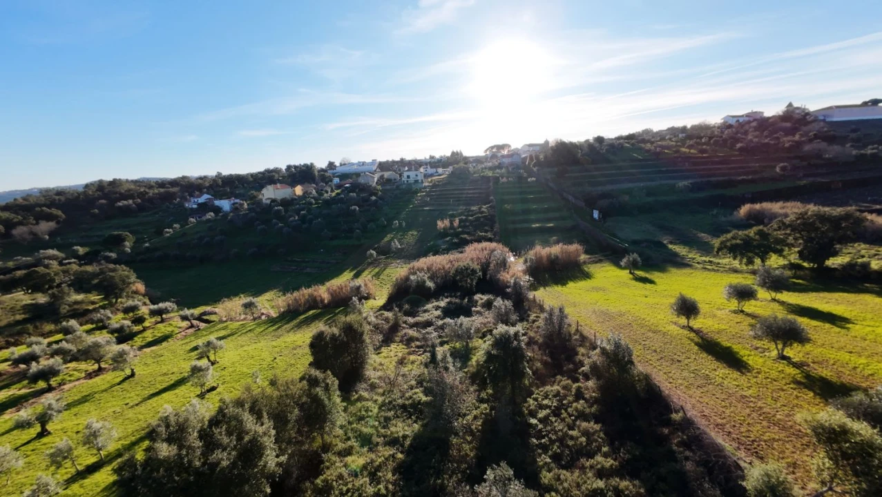 Moradia T5 para Venda em Olalhas Foto 9