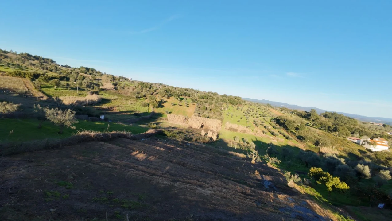 Moradia T5 para Venda em Olalhas Foto 16