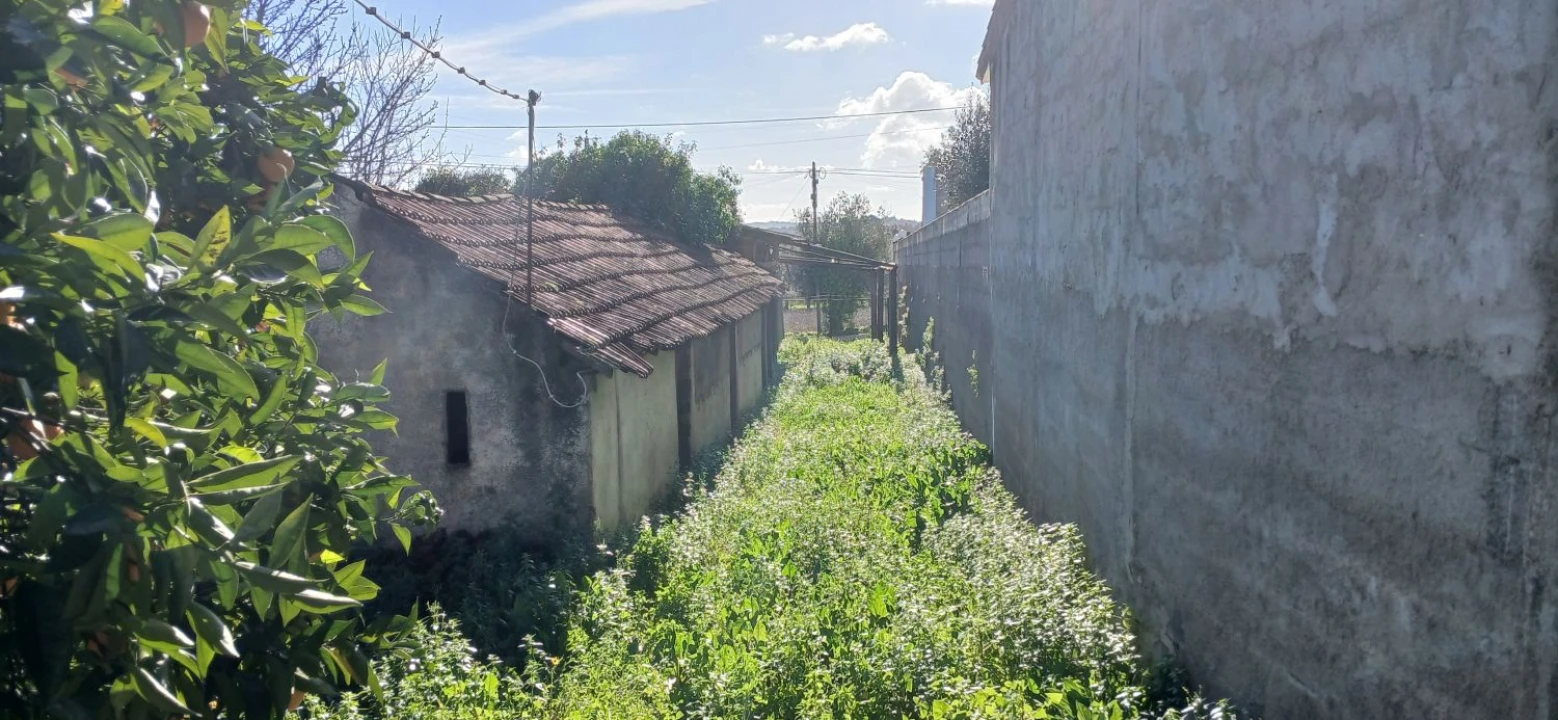 Quinta T5 para Venda em Chãos Foto 30