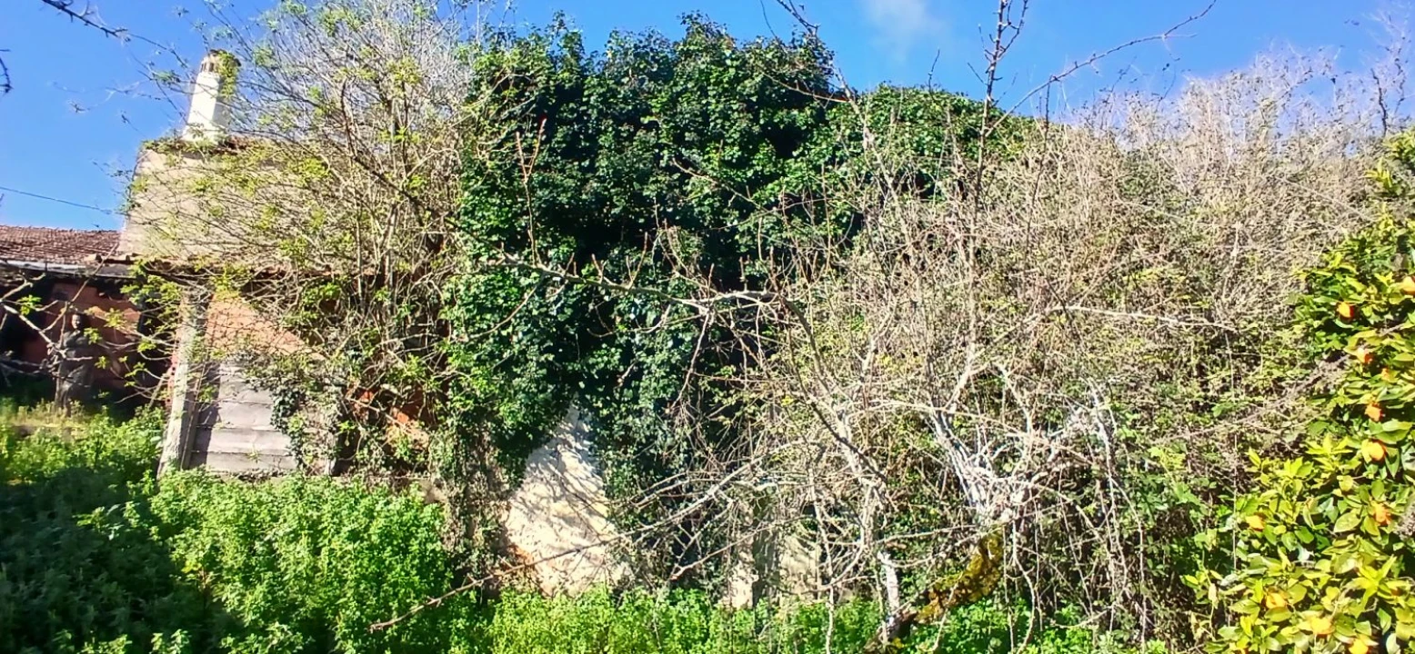 Quinta T5 para Venda em Chãos Foto 29