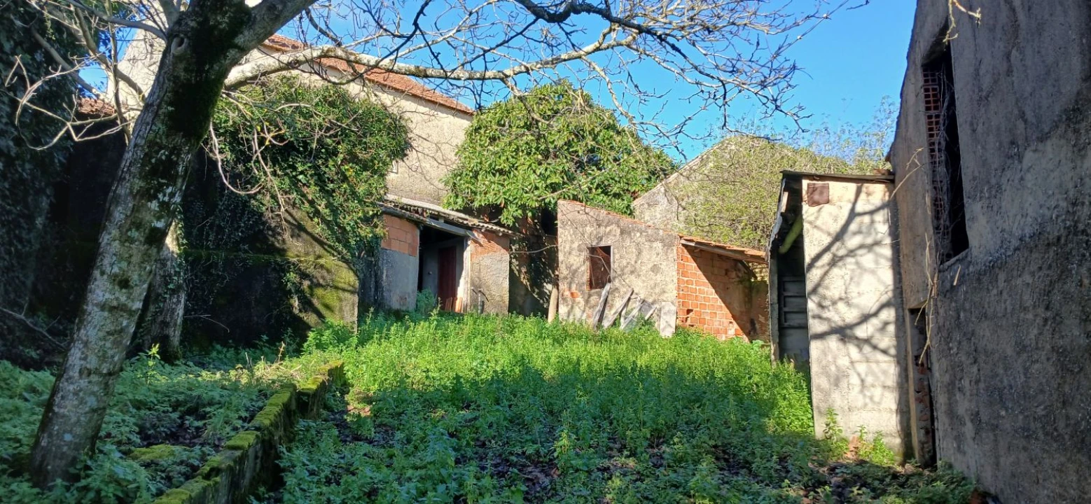 Quinta T5 para Venda em Chãos Foto 31