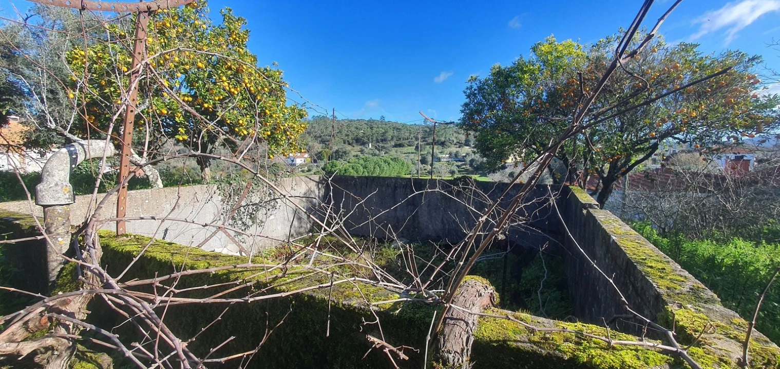 Quinta T5 para Venda em Chãos Foto 39