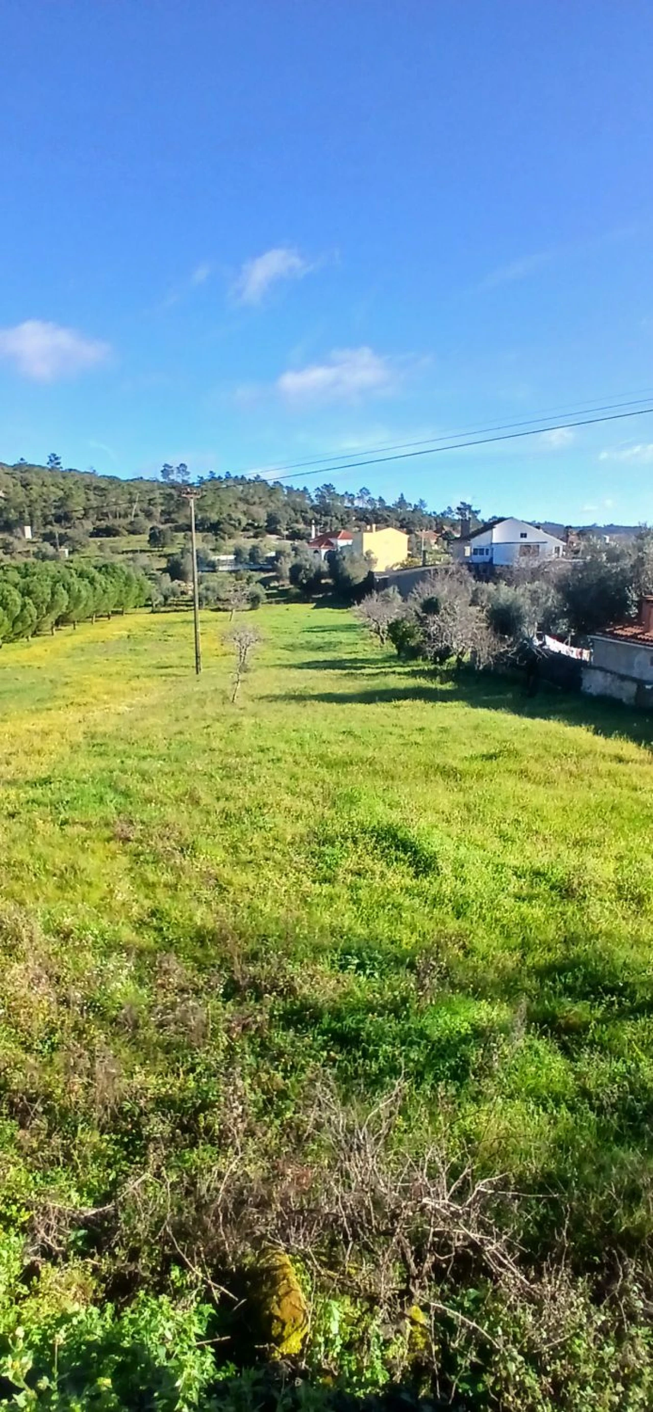 Quinta T5 para Venda em Chãos Foto 28