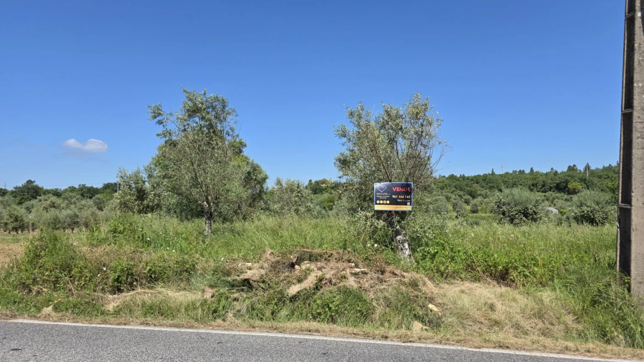 Terreno para Venda em Casais e Alviobeira Foto 8