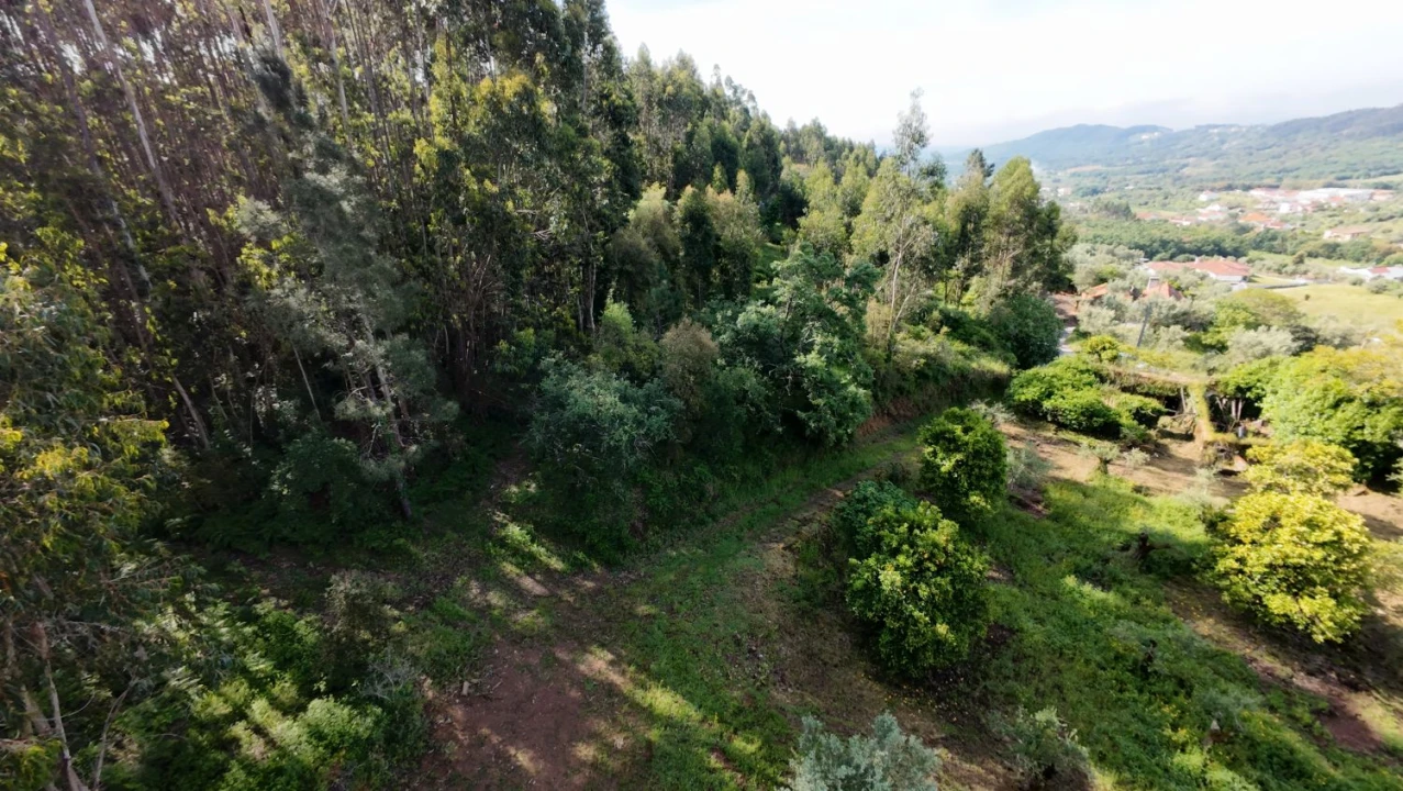 Moradia T2 para Venda em Areias e Pias Foto 42