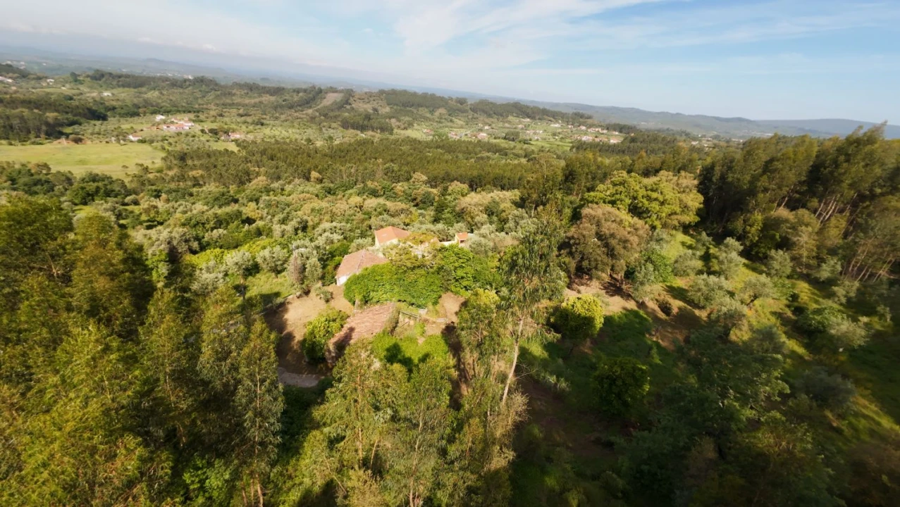 Moradia T2 para Venda em Areias e Pias Foto 4