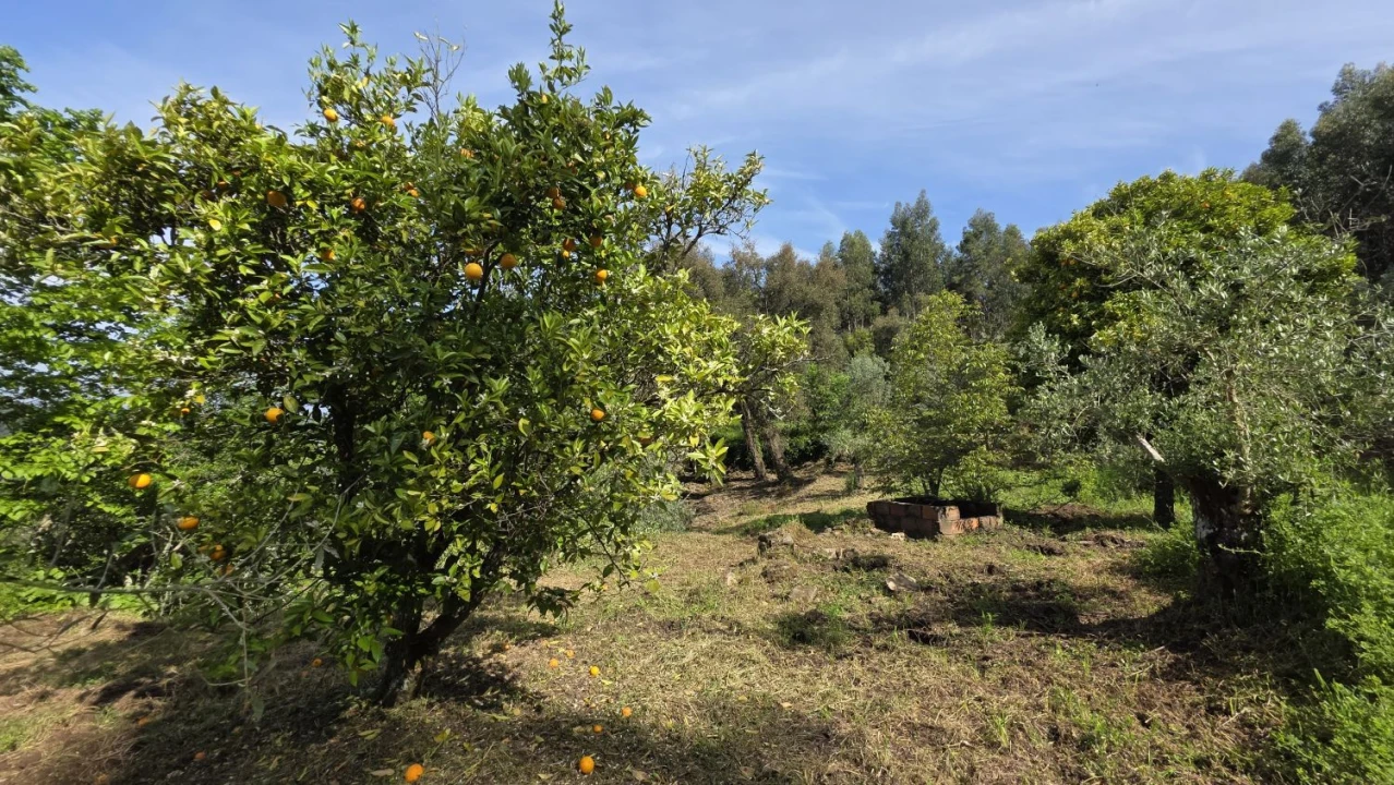 Moradia T2 para Venda em Areias e Pias Foto 9
