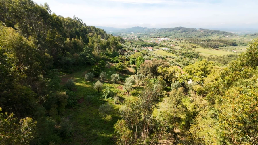 Moradia T2 para Venda em Areias e Pias Foto 43