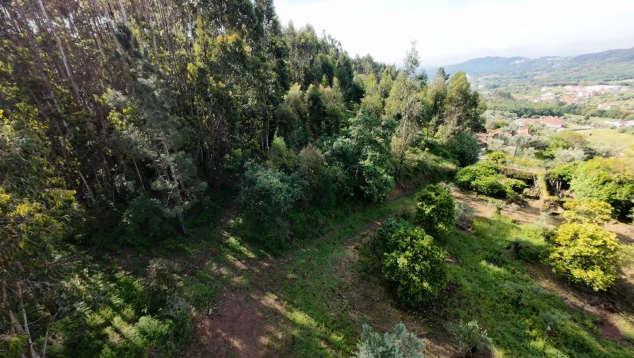 Moradia T2 para Venda em Areias e Pias Foto 42