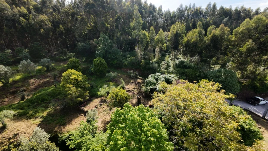 Moradia T2 para Venda em Areias e Pias Foto 12