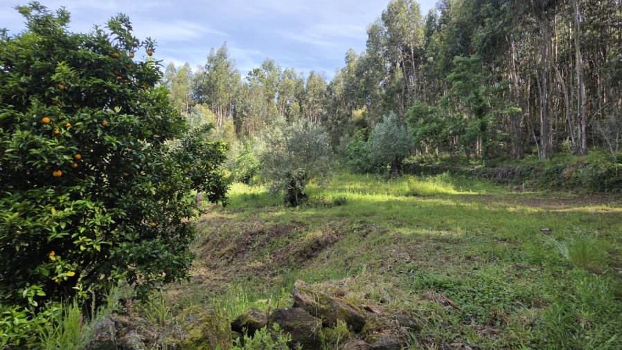 Moradia T2 para Venda em Areias e Pias Foto 26