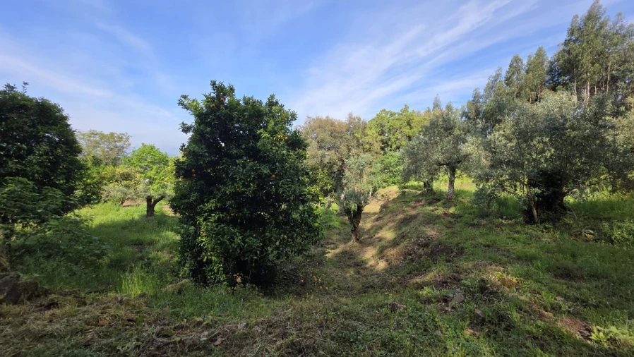 Moradia T2 para Venda em Areias e Pias Foto 17