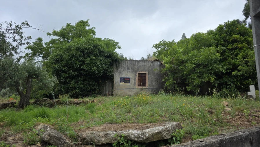 Moradia T2 para Venda em Areias e Pias Foto 44