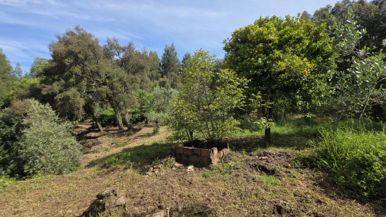 Moradia T2 para Venda em Areias e Pias Foto 7