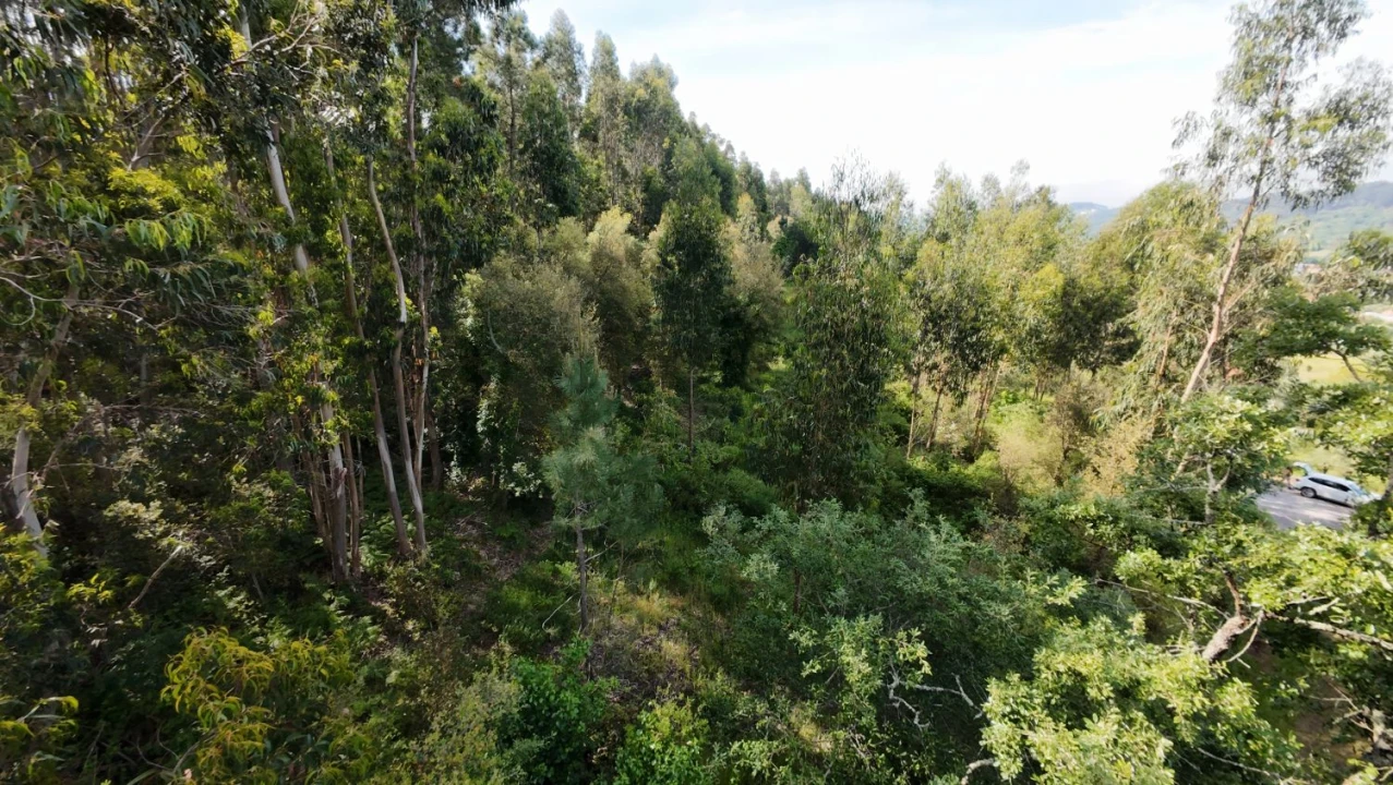 Moradia T2 para Venda em Areias e Pias Foto 41