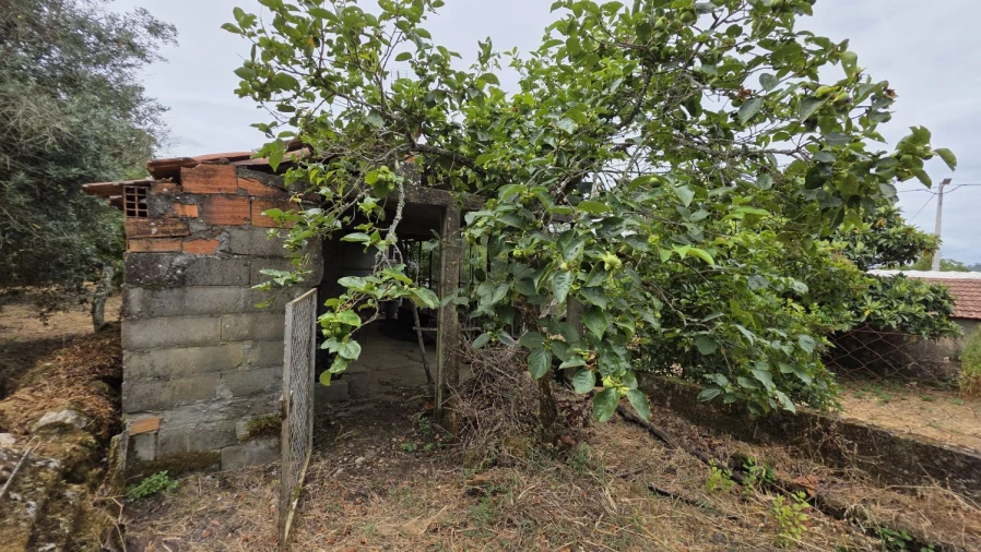 Moradia T2 para Venda em Chãos Foto 19