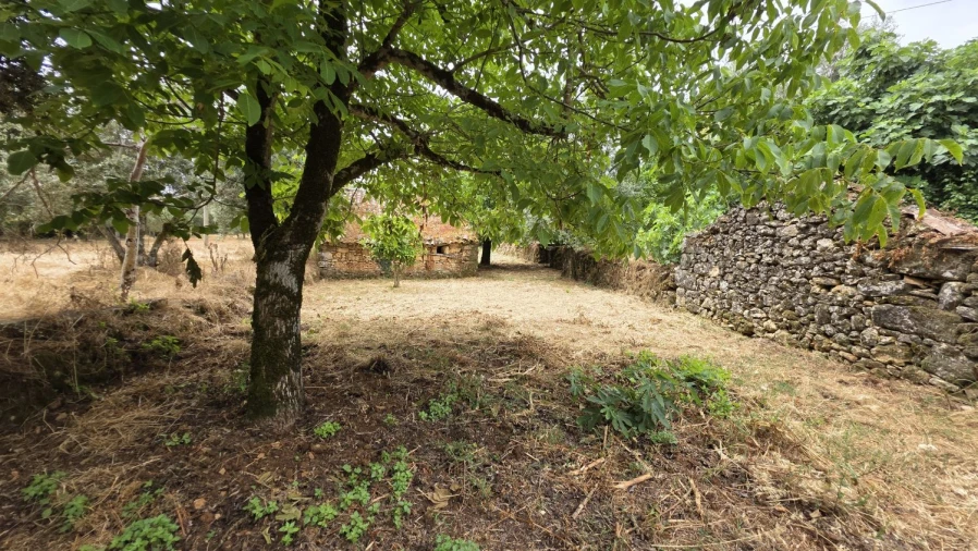 Moradia T2 para Venda em Chãos Foto 11