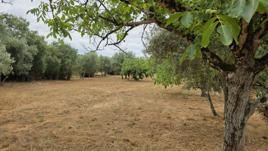 Moradia T2 para Venda em Chãos Foto 28