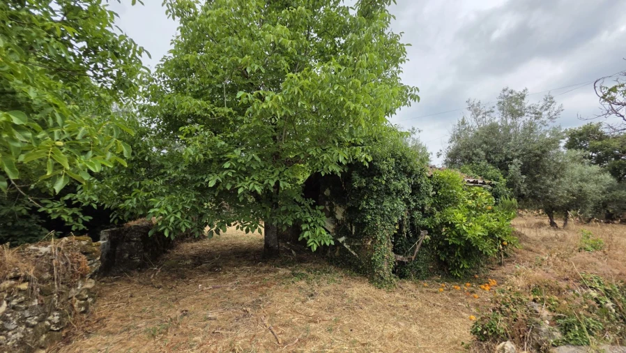 Moradia T2 para Venda em Chãos Foto 20