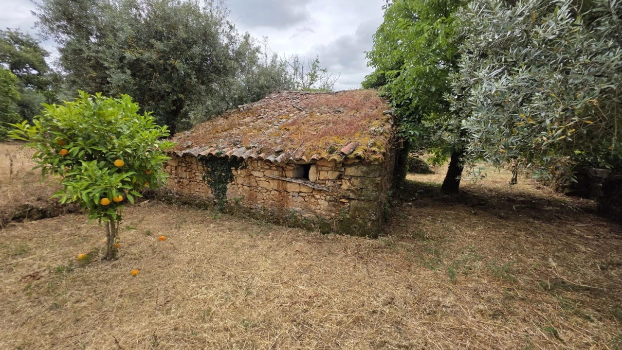 Moradia T2 para Venda em Chãos Foto 10