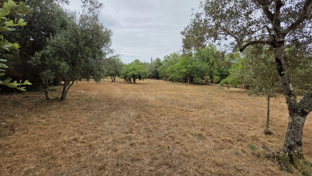 Moradia T2 para Venda em Chãos Foto 26