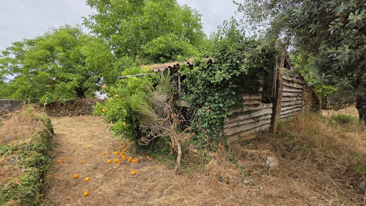 Moradia T2 para Venda em Chãos Foto 25