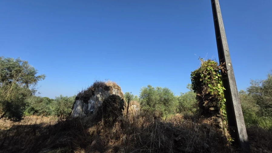 Moradia T2 para Venda em Olalhas Foto 5