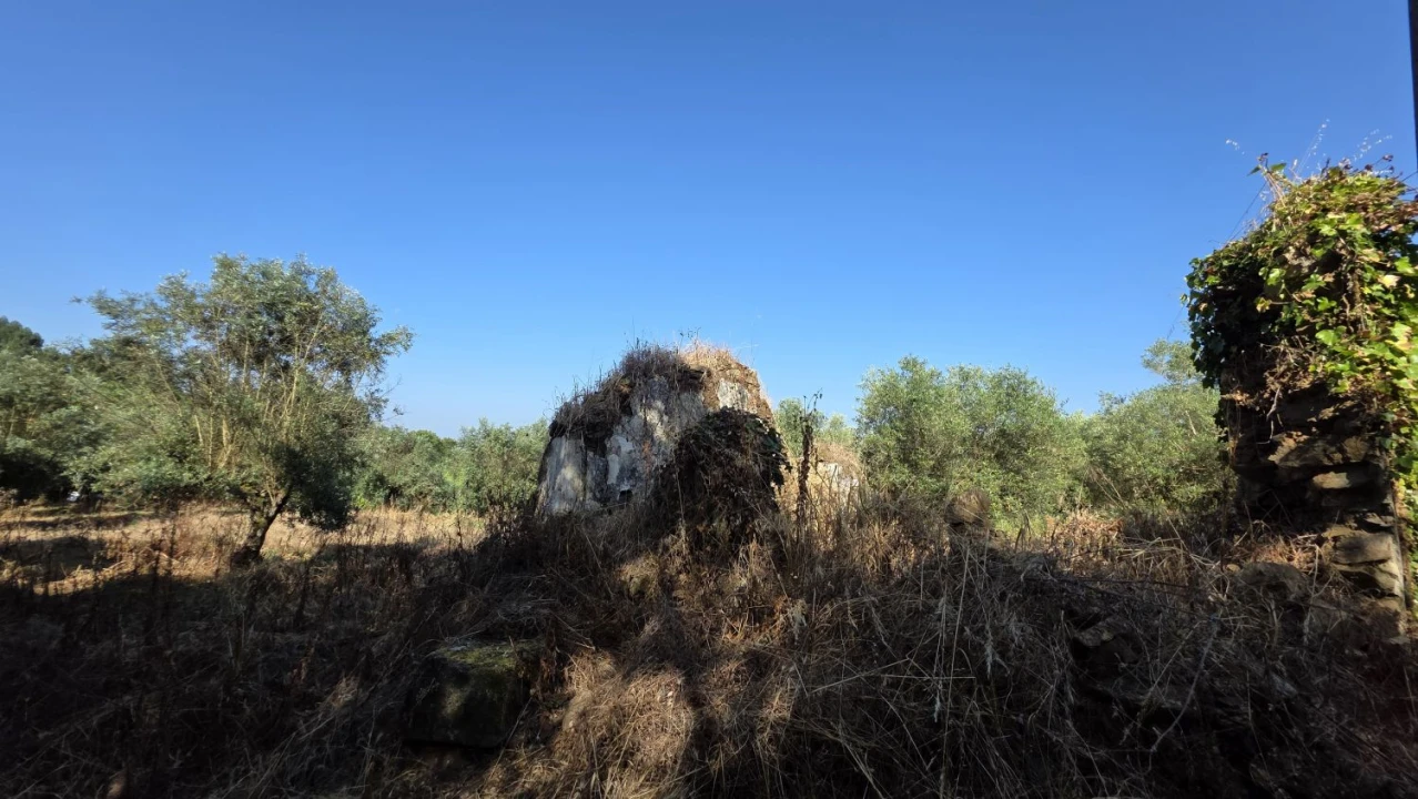 Moradia T2 para Venda em Olalhas Foto 8