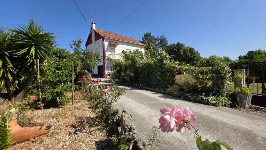 Moradia T4 para Venda em Olalhas Foto 11