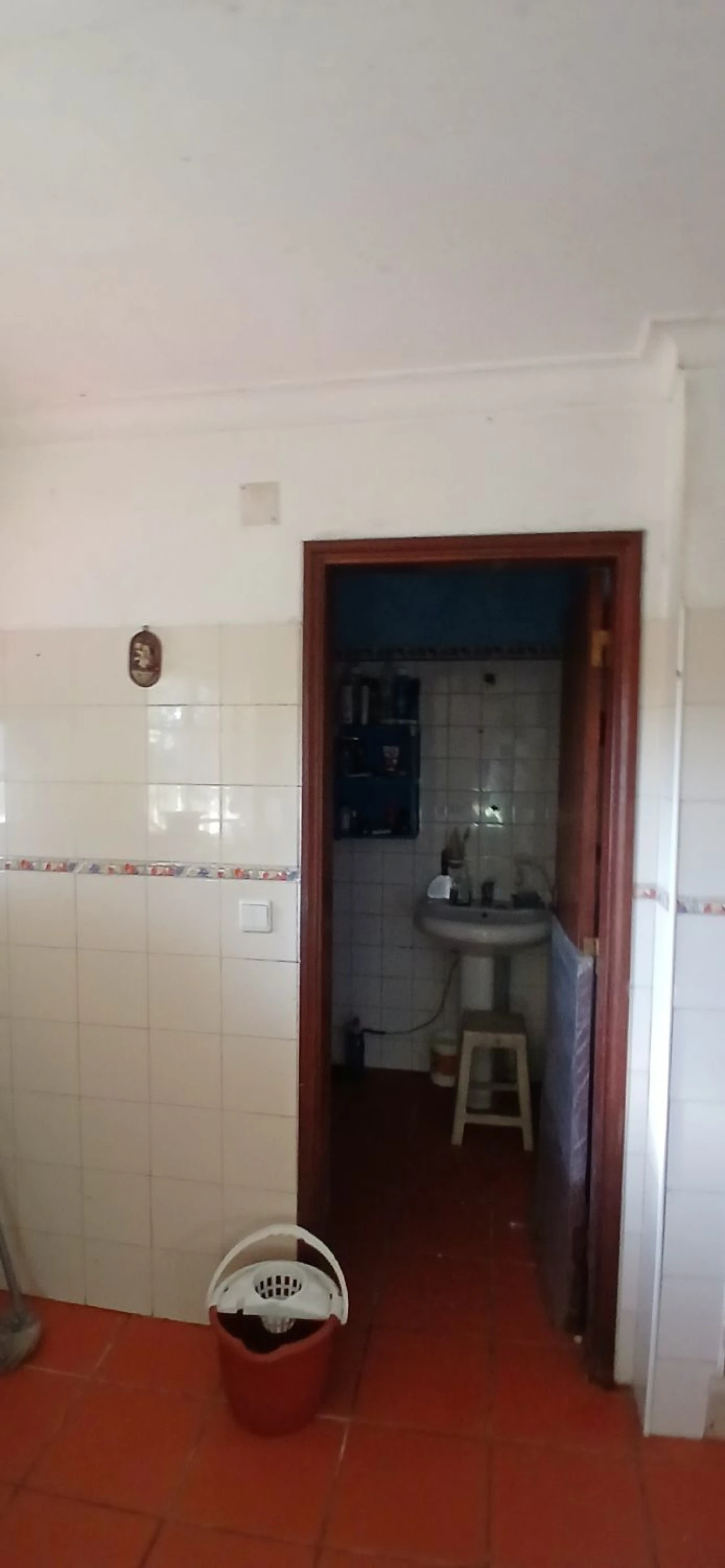 Moradia T4 para Venda em Serra e Junceira Foto 12