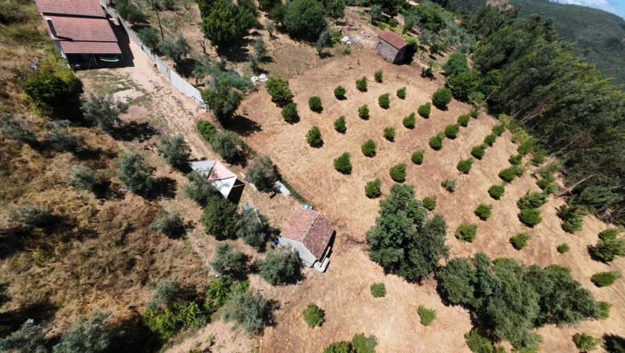 Moradia T2 para Venda em Aguas Belas Foto 55