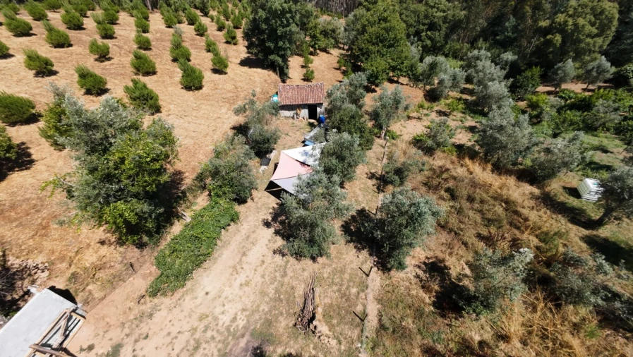 Moradia T2 para Venda em Aguas Belas Foto 52