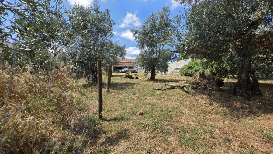 Moradia T2 para Venda em Aguas Belas Foto 47