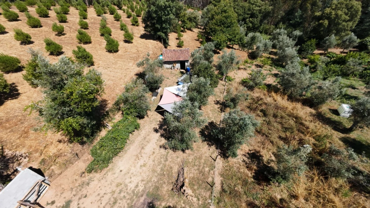 Moradia T2 para Venda em Aguas Belas Foto 52