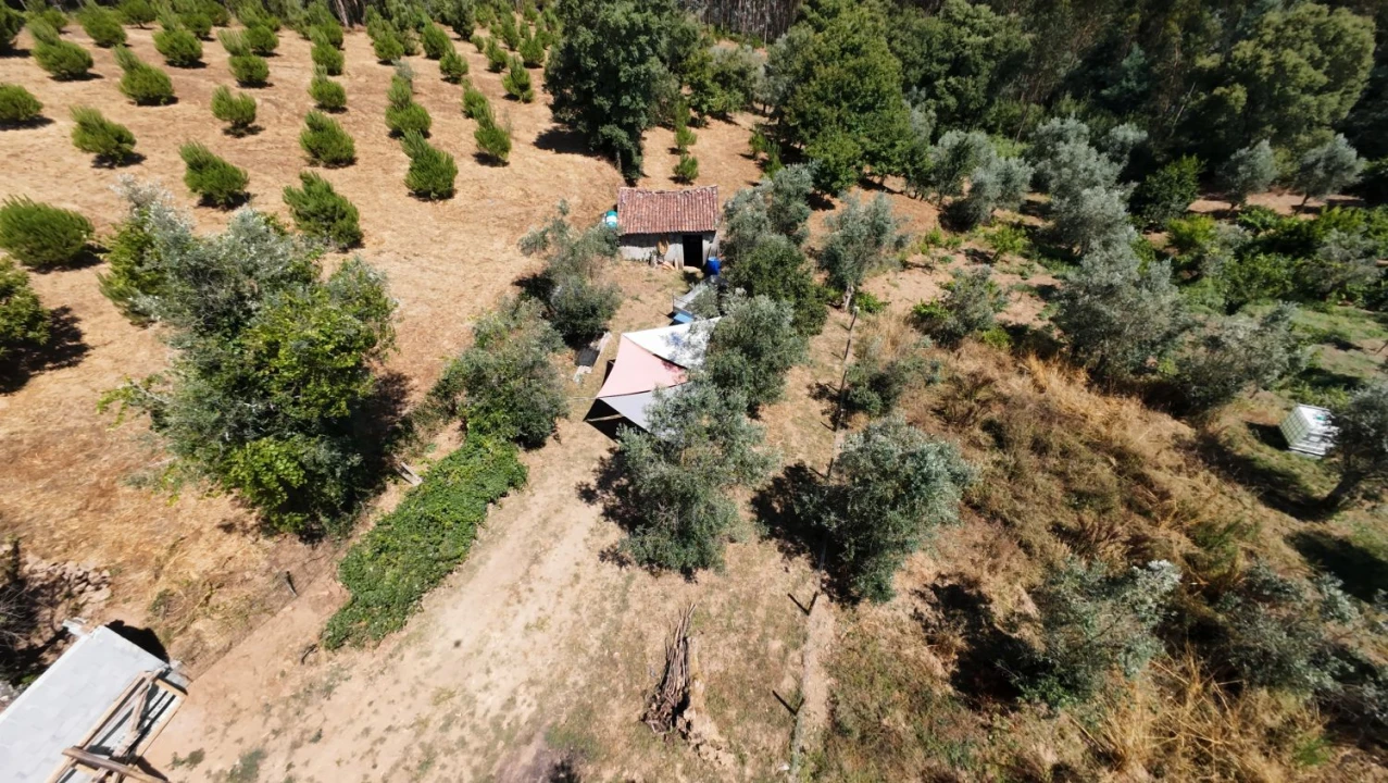 Moradia T2 para Venda em Aguas Belas Foto 59