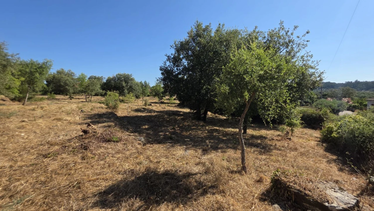 Terreno para Venda em Areias e Pias Foto 17