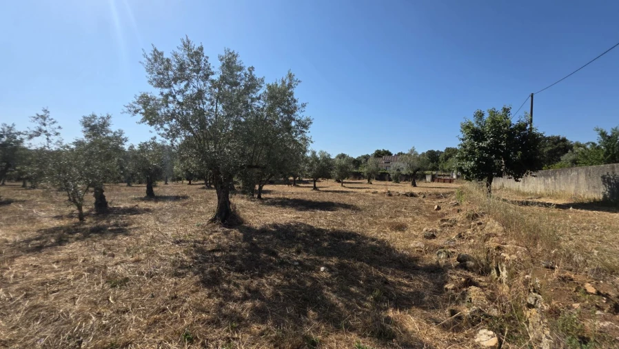 Terreno para Venda em Areias e Pias Foto 31