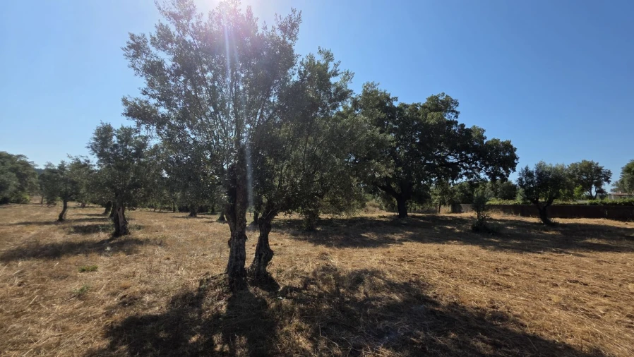 Terreno para Venda em Areias e Pias Foto 28