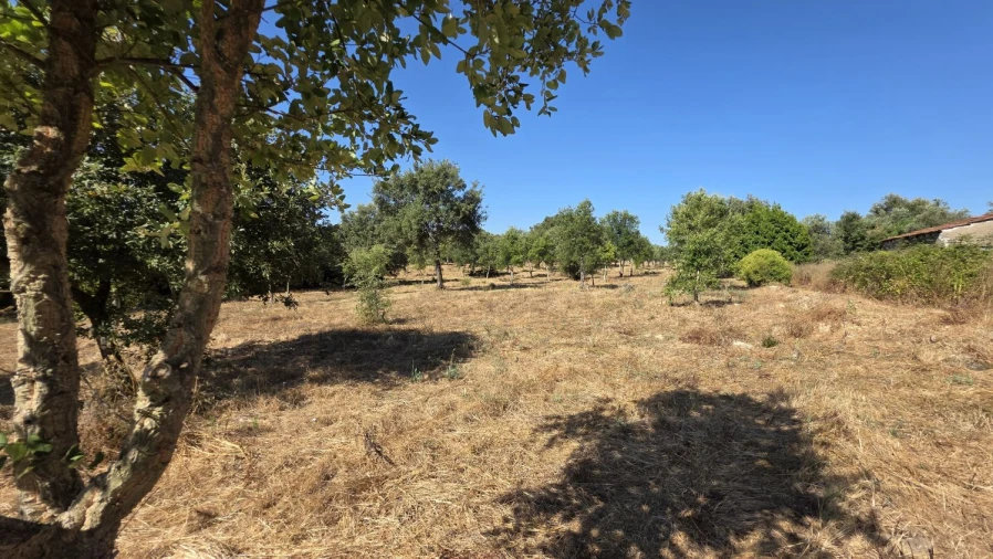 Terreno para Venda em Areias e Pias Foto 42
