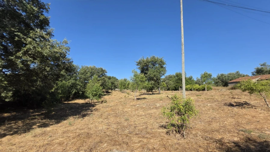 Terreno para Venda em Areias e Pias Foto 8