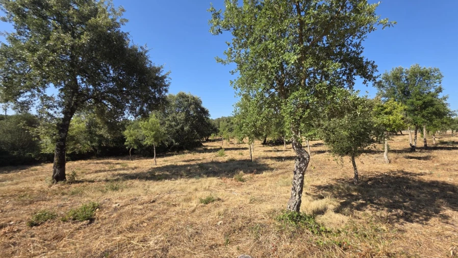 Terreno para Venda em Areias e Pias Foto 39