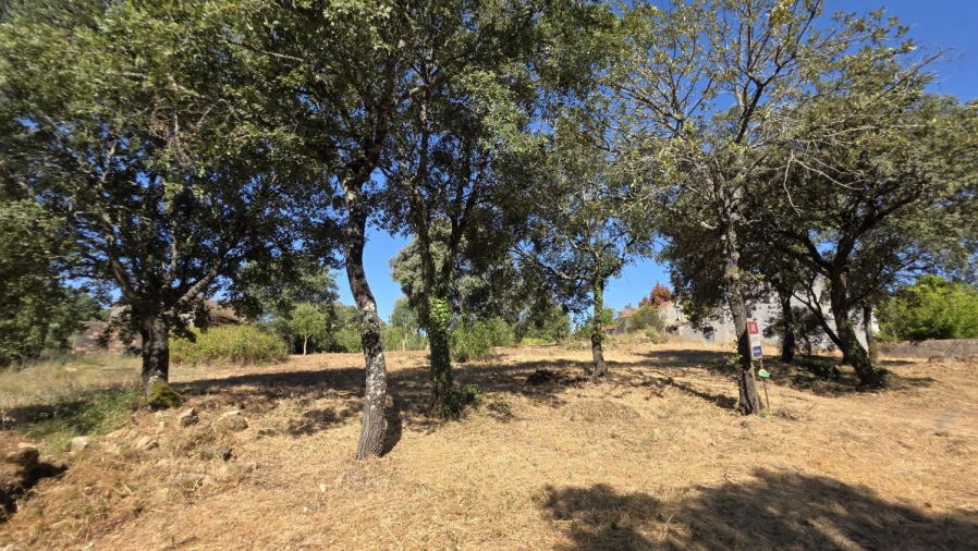 Terreno para Venda em Areias e Pias Foto 7