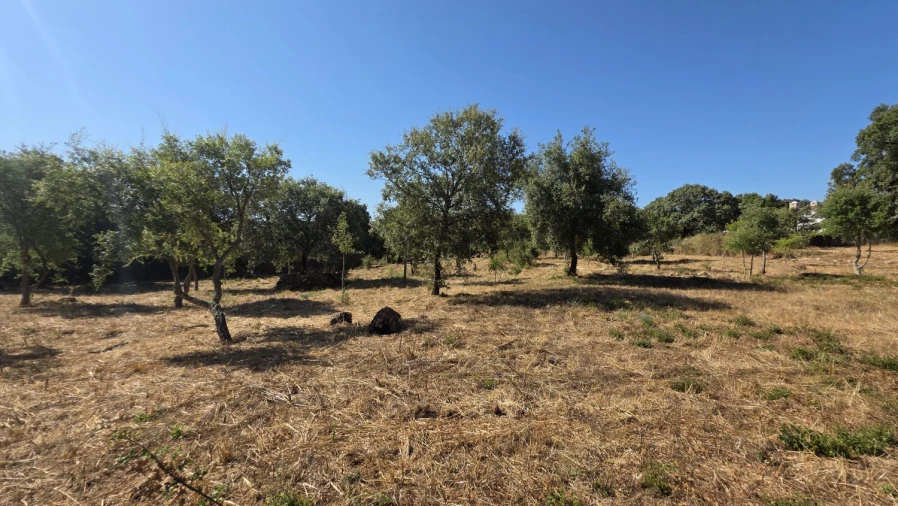 Terreno para Venda em Areias e Pias Foto 38